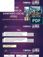 Plan de Emergencia Sanitario Local (Pesl)