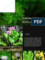 Plantas Acuaticas y Deserticas