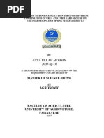 Download EFFECT OF NITROGEN APPLICATION THROUGH DIFFERENT COMBINATIONS OF UREA AND FARM YARD MANURE ON THE PERFORMANCE OF SPRING MAIZE Zea mays L by Atta Ullah Mohsin SN52351835 doc pdf