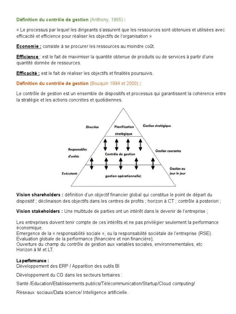 Contrôle de Gestion et Performance | PDF | Cost accounting | Business