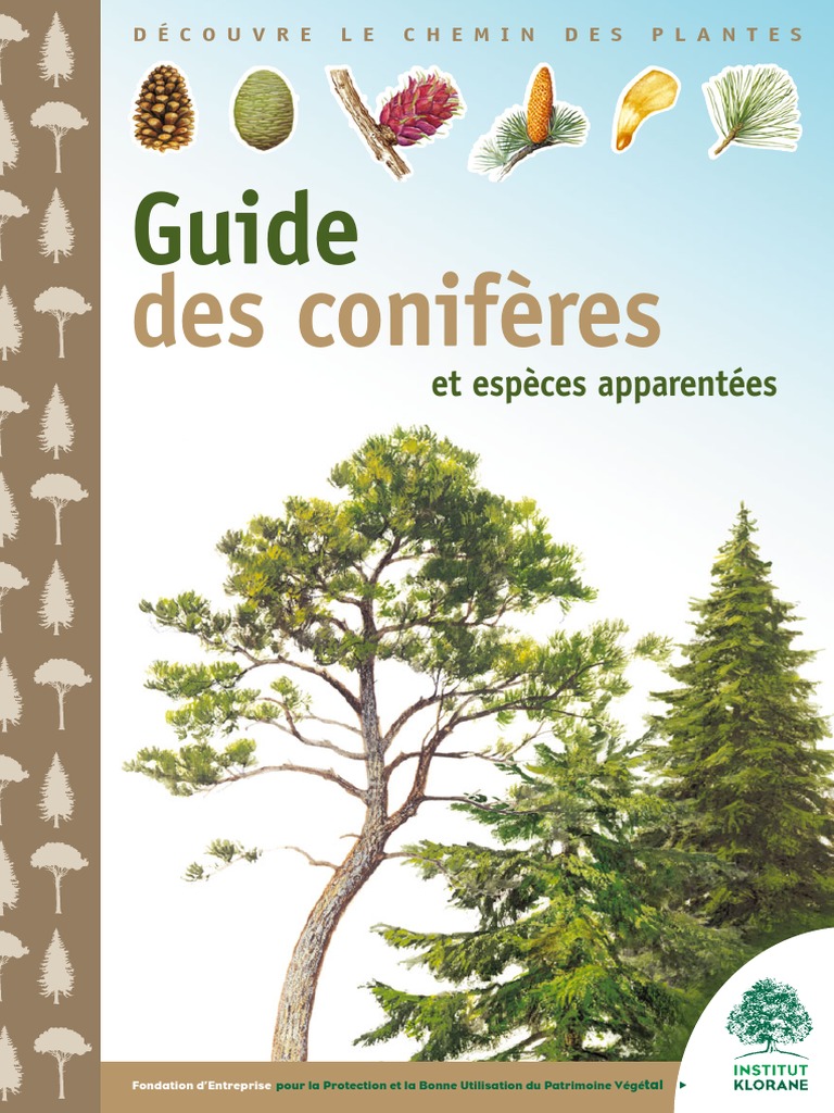 Guide Des Coniferes 0 PDF Arbres