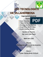 Matriz EFE y EFI