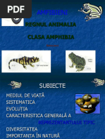 AMFIBIENI PPV