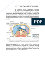 Peritoneo y Cavidad Peritoneal