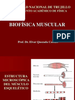 2 Biofísica Muscular