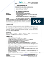 Informe Técnico N° 011 - 2020 (PLANEFA)