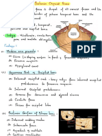 Cranial Cavity - 3