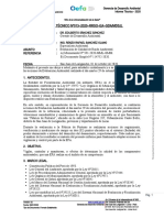 Informe Técnico N° 013-2020 (MUNILIMA)