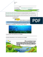 GUIA DE CIENCIAS (PROYECTO MES DE MAYO) (1)