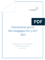 Orientaciones Para El Plan Pedagógico NT1 y NT2