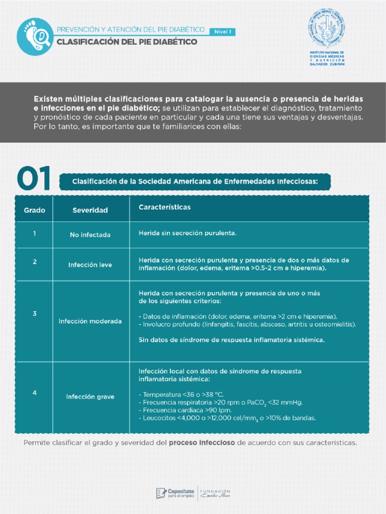 Clasificacion Del Pie Diabetico PDF