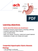Stomach Peptic Ulcer