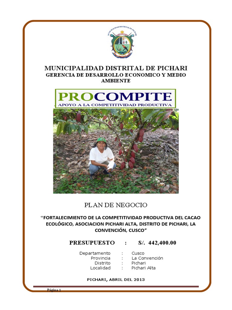 Plan De Negocio Cacao Pichari Alta Corregido Pdf Mercado Economía