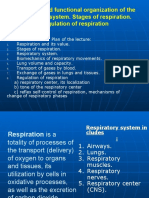 Structural and Functional Organization of The Respiratory System. Stages of Respiration. Regulation of Respiration