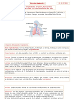 Aparato Respiratorio