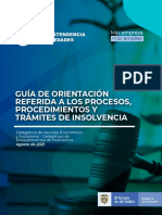 Guia Procesos Insolvencia