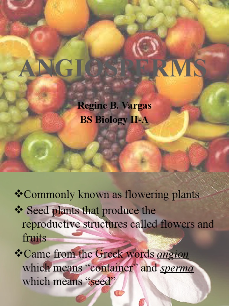 Flowering plant visual data 7