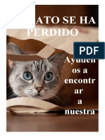 Anuncio de Gato Perdido