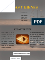 Cosas y Bienes