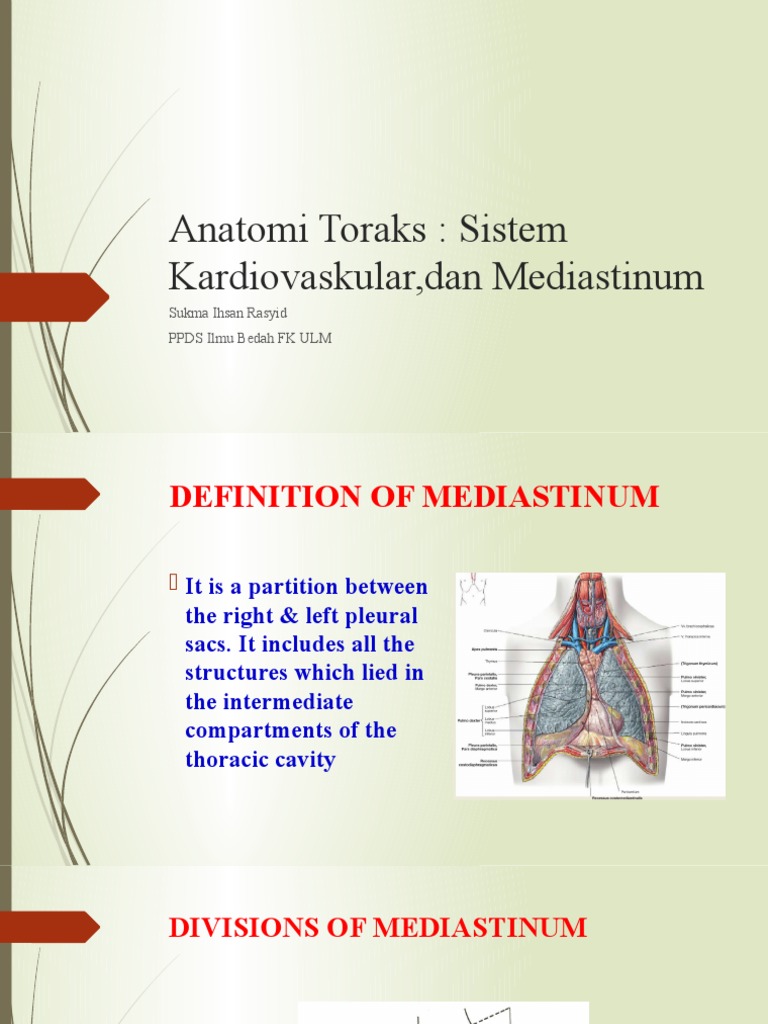 Anatomi Thorax Sistem Kardiovaskuler Mediastinum | PDF | Heart | Atrium ...