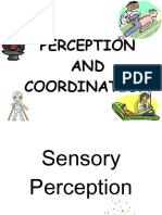 Perception AND Coordination