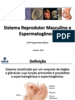 1-Sistema Reprodutor Masculino e espermatogênese (1)