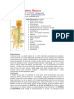 Anatomia Do Sist Nervoso