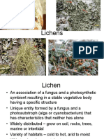 Lichens