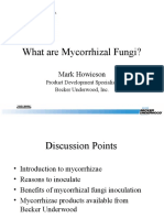 What Are Mycorrhizal Fungi?: Mark Howieson