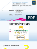 Fotosíntesis Informe