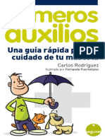 Guia Auxilios