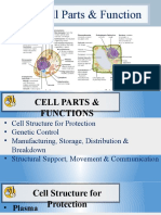 LESSON 2 - Cell Parts & Function