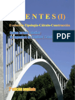 LIBRO PUENTES (TOMO I) Resumen 2 Edición Futura Ampliado