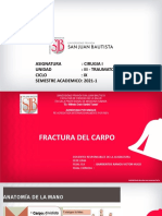 6. fx del carpo 2021-1 (1)