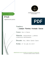 Pae-Andrade-Practica Administrativa