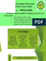 Trabajo de Biologia VIRUS