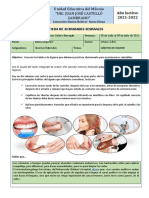 Ficha Pedagógica Ciencias Naturales.