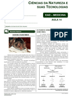 14-Sistema Excretor