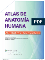 Atlas de Anatomia Humana 2016