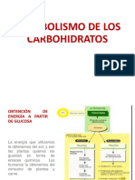 002-Metabolismo de Los Carbohidratos