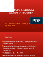 Anatomi Fisiologi Sistem Integumen Diah