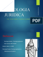 Fundamentos y Ramas de La Psicología Jurídica