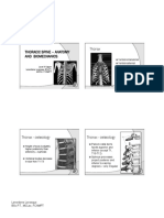 Thorax: Thoracic Spine Anatomy and Biomechanics Level III