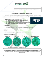 Modular Worksheet Final | PDF | Endoplasmic Reticulum | Cell (Biology)