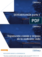 Sesión 16. Estesiología I