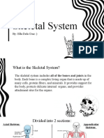 Skeletal System Guide