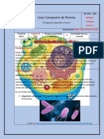 Guía 1 Biología 6° Generalidades de la célula y teoría celular.