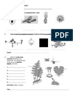 Actividades 1 Bachillerato Biologia Plantas