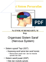 Anatomi Sistem Neurobehavior