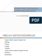 Anatomi dan fisiologi sistem pernapasan